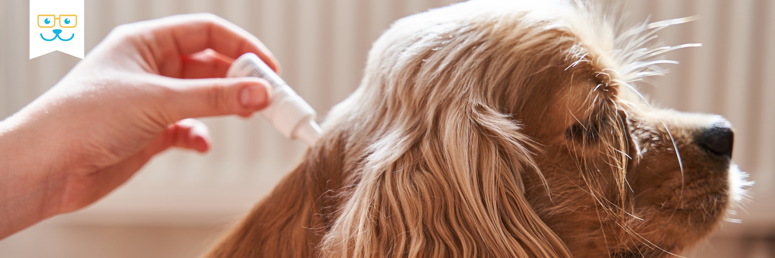 dog parasite treatment and prevention