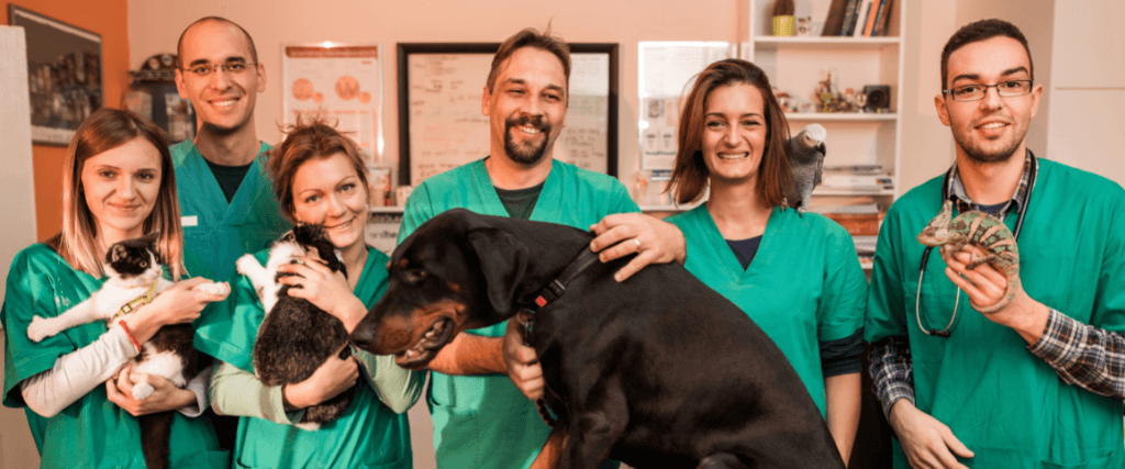 The Benefits of Using an AAHA-Accredited Veterinary Hospital