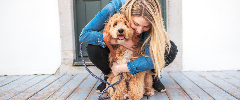 Addison&#039;s Disease in Dogs: What Every Pet Parent Should Know