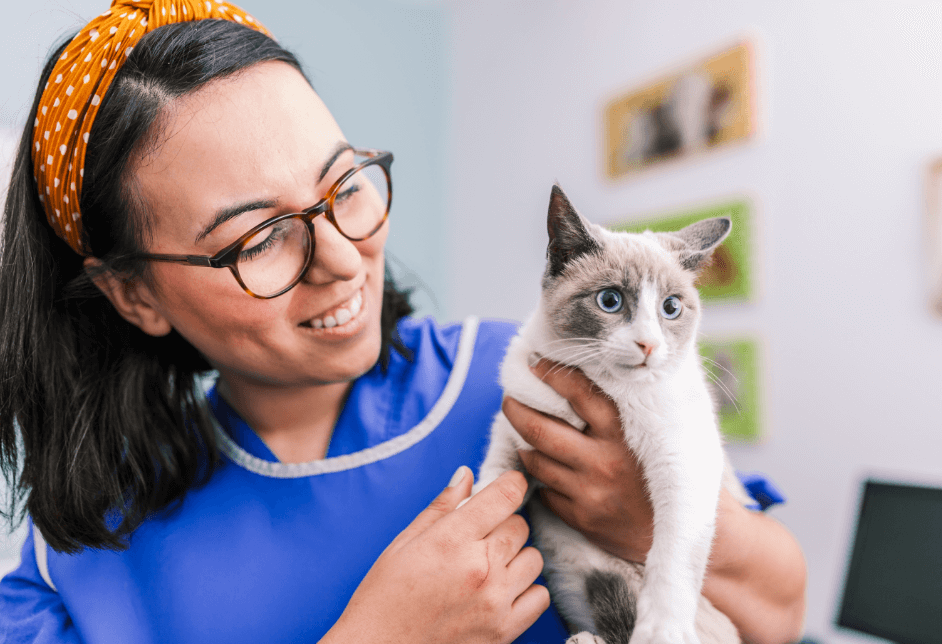 6 Hidden Signs of Great Veterinary Care