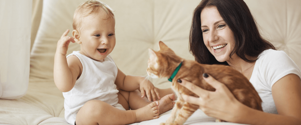 New Baby? Here’s How to Prepare Your Pets and Make the Transition Easier