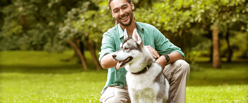 How To Find The Best Pet Trainer
