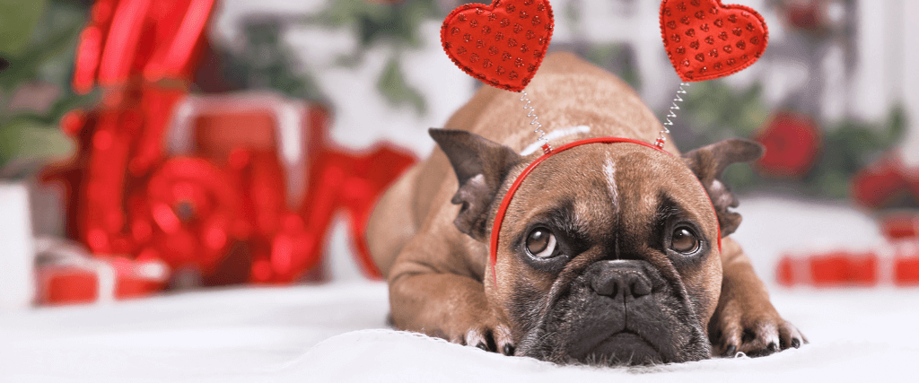 Top 5 Valentine&#039;s Day Toxins!