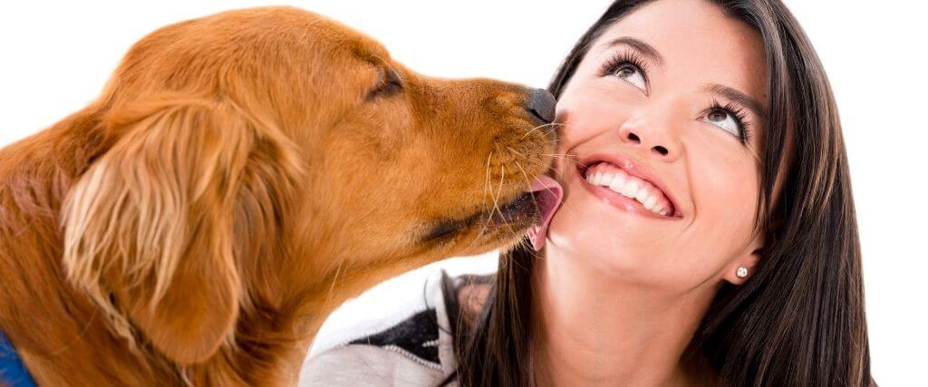 Why Do Dogs Like to Give Kisses?