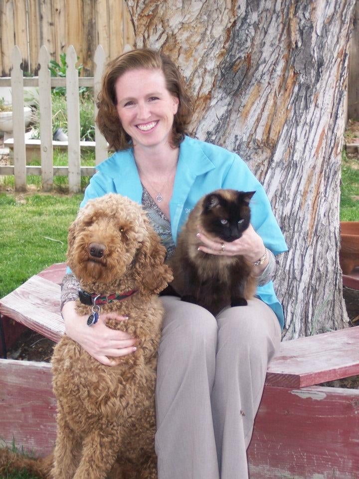 shelby animal hospital