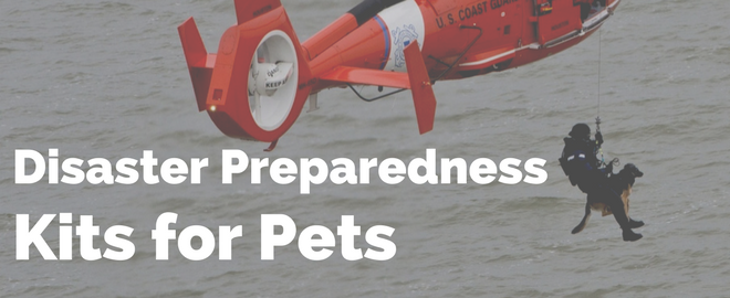 Disaster Preparedness Kits For Pets