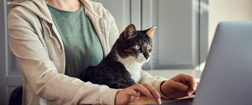 6 Tips For Success When Bringing Your Pet to Work