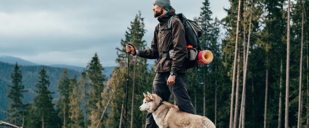 How to Hike With Your Hound