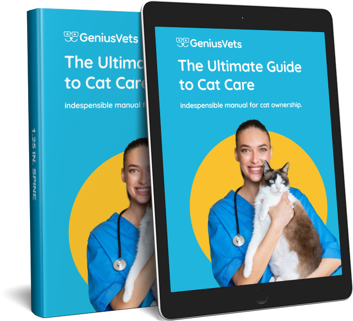 dog care guide