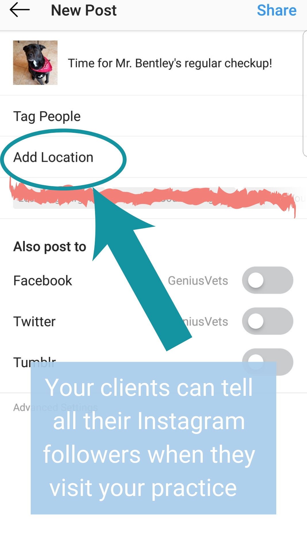 Screenshot of where to add location to an Instagram post