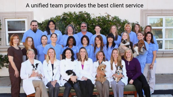Photo of the team from The Drake Center for Veterinary Care