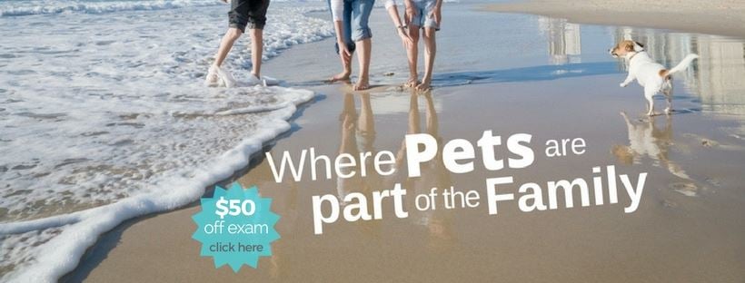 Screenshot of a Facebook cover photo from The Drake Center for Veterinary Care