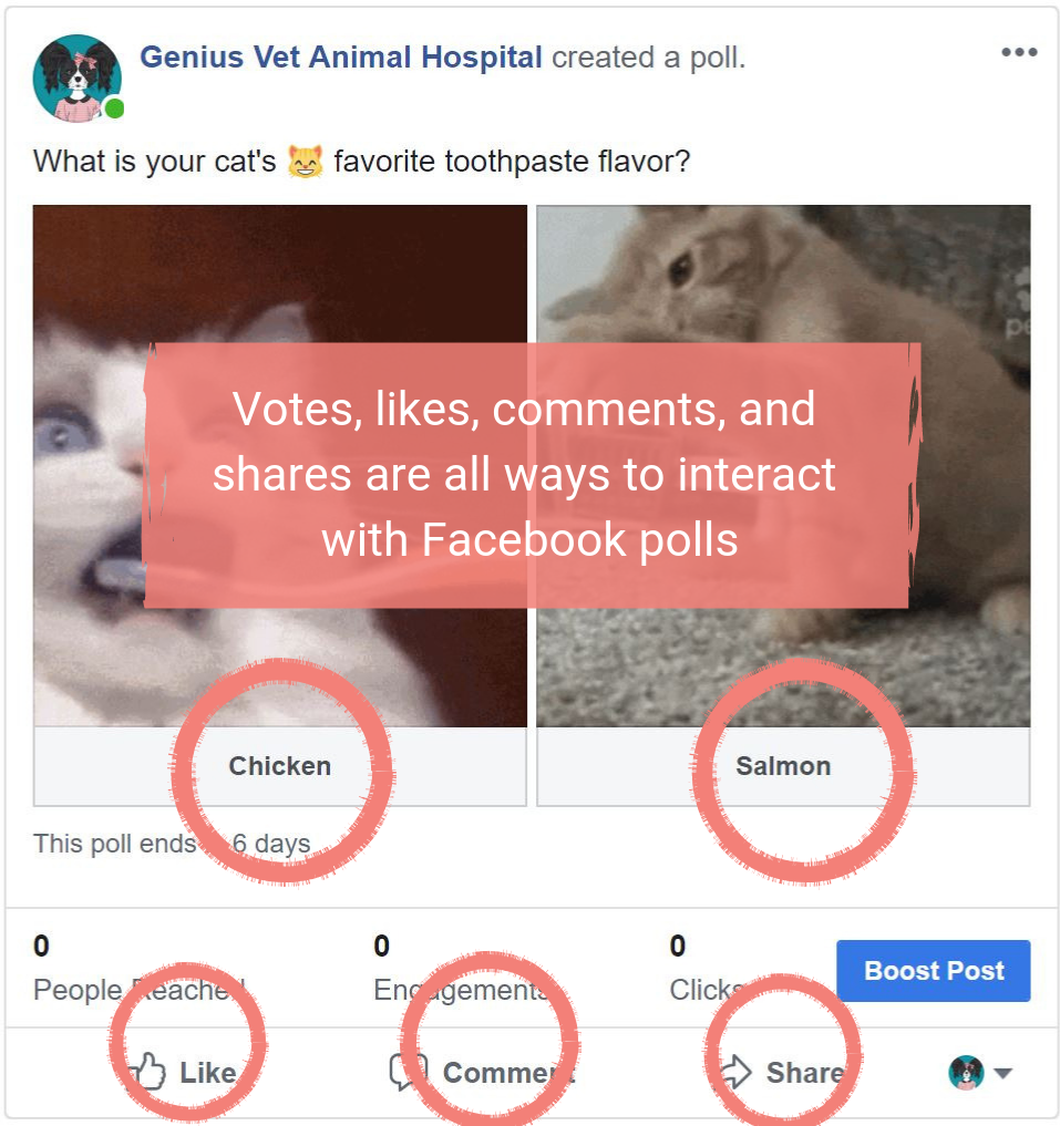 The Power Of Polls Using Facebook To Reach, Engage With, And Learn