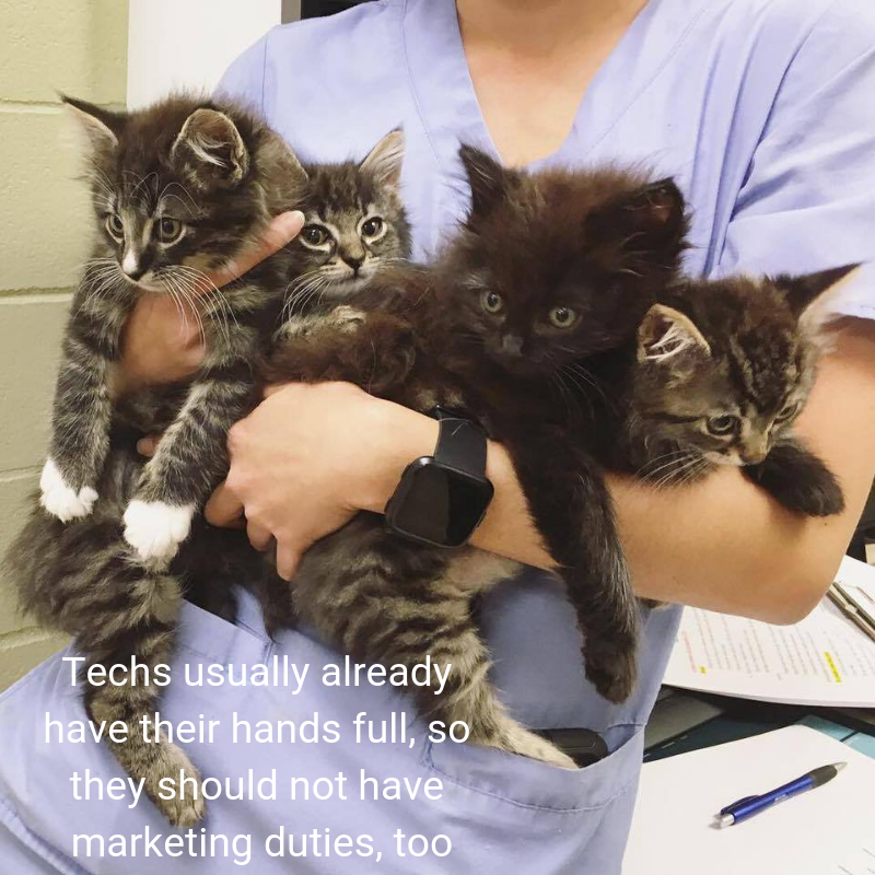 Techs usually already have their hands full, so they should not have marketing duties, too