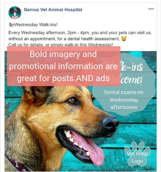 Example Facebook image-based ad