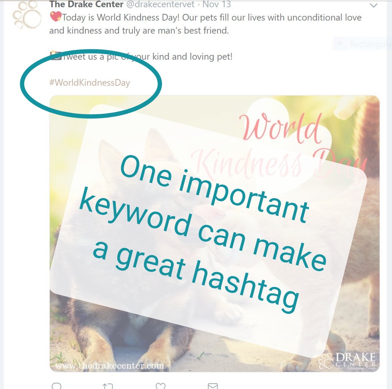 One important keyword can make a great hashtag