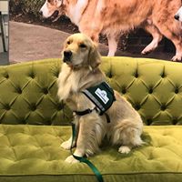 Find Pet Care Information and Veterinarians in Greenfield, Indiana Find Pet Care Information and Veterinarians in Greenfield, Indiana