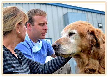 Find Pet Care Information and Veterinarians in Three-springs, Kentucky