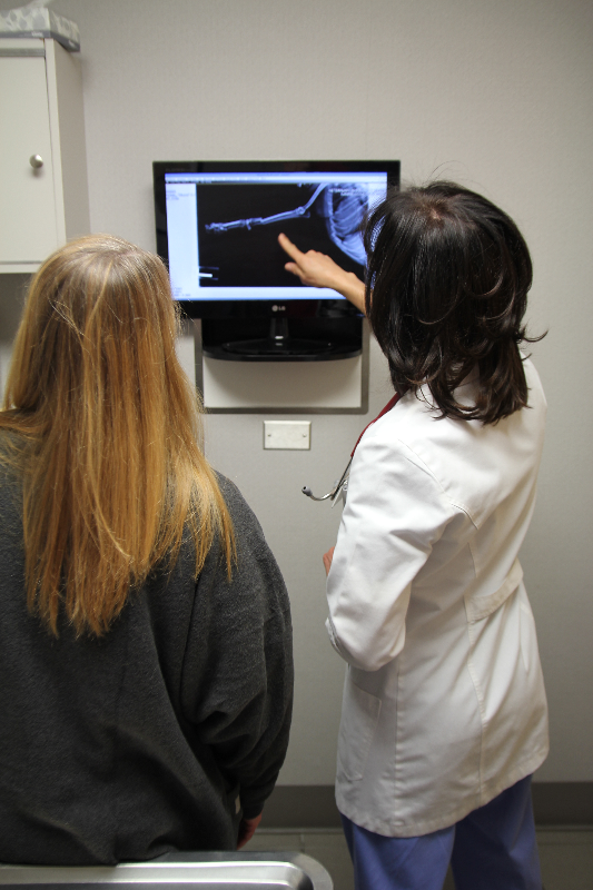 Veterinary Emergency Service West Plymouth, MI