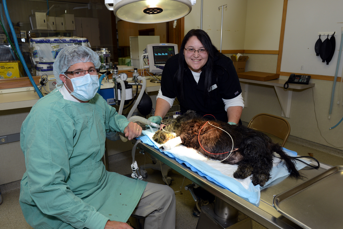 Greenfield Animal Hospital – Southfield, MI Greenfield Animal Hospital – Southfield, MI