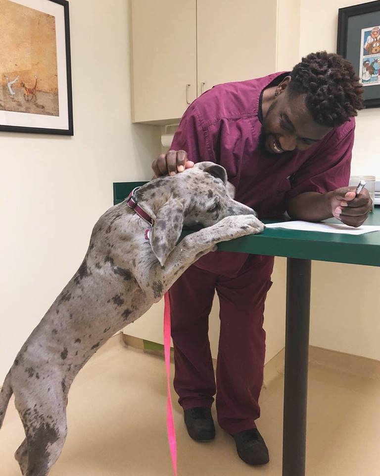 Find Pet Care Information and Veterinarians in Upchurch, North-carolina Find Pet Care Information and Veterinarians in Upchurch, North-carolina