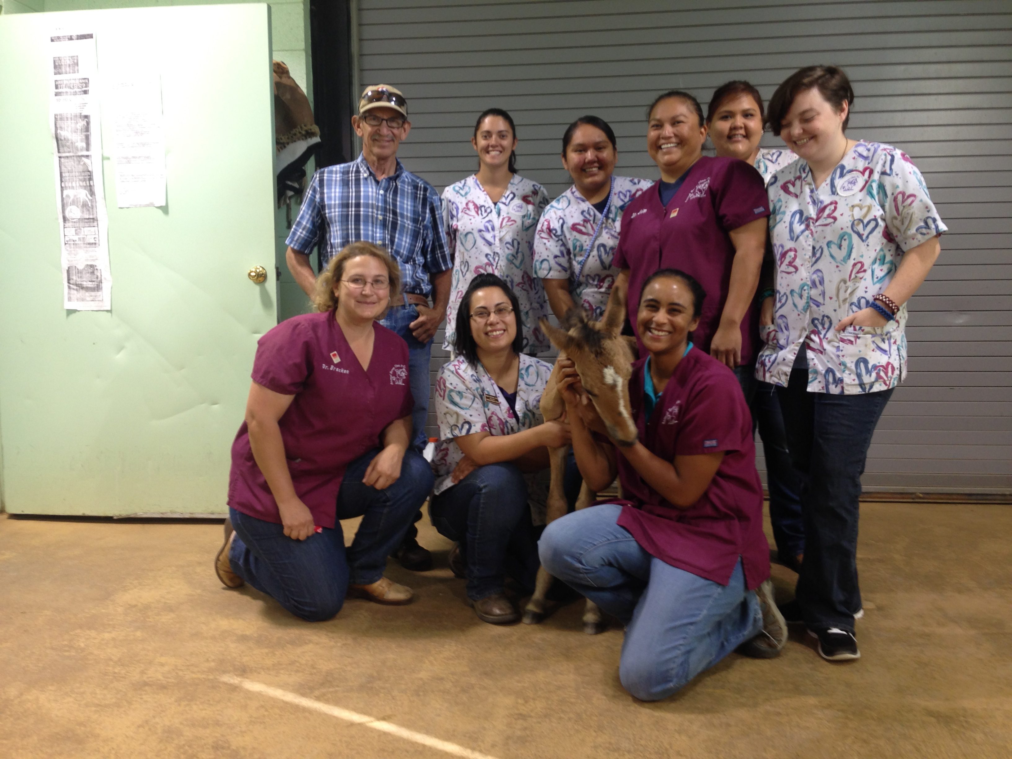 Find Pet Care Information and Veterinarians in Flora-vista, New-mexico
