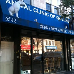 A Animal Clinic of Queens – Ridgewood, NY