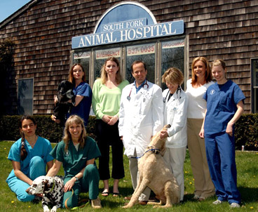 southfork animal hospital wainscott