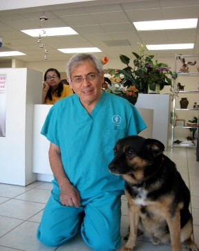 Find Pet Care Information and Veterinarians in Gage, California