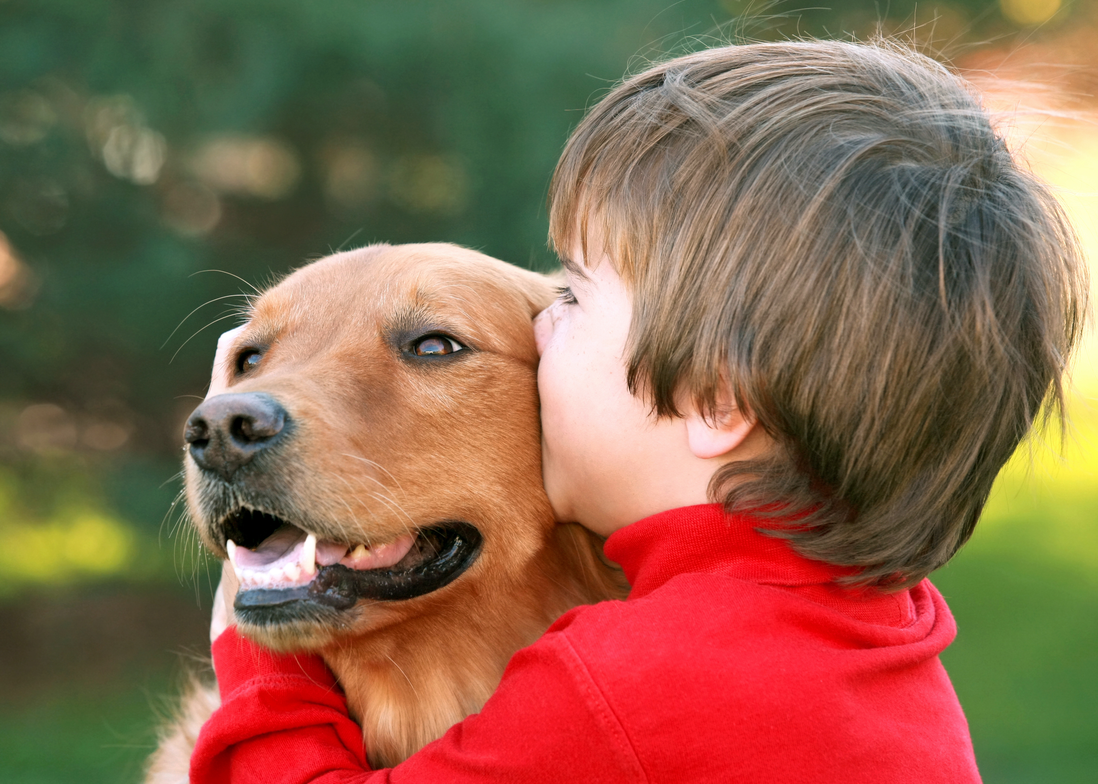 Общение с домашними животными. Собака друг человека. Домашние животные для детей. Люди и животные. Собака для детей.