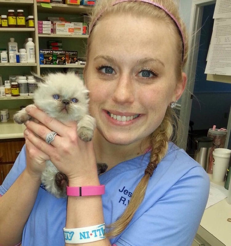 Docton Animal Clinic Xenia, OH