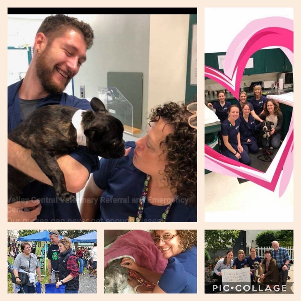 Valley Central Vet Emergency & Referral Center Whitehall, PA