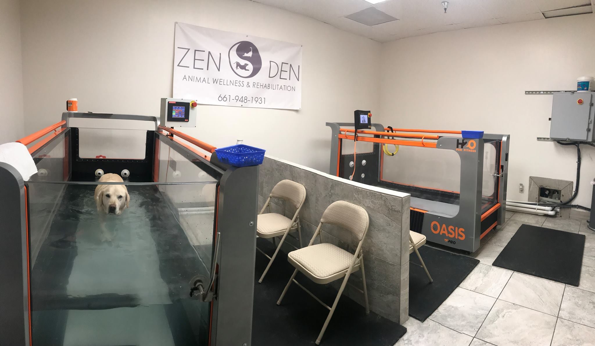 Find Pet Care Information and Veterinarians in Palmdale, California