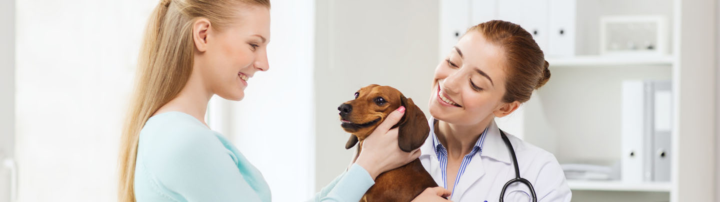 VCA Castle Hills Companion Animal Hospital – San Antonio, TX VCA Castle Hills Companion Animal Hospital – San Antonio, TX