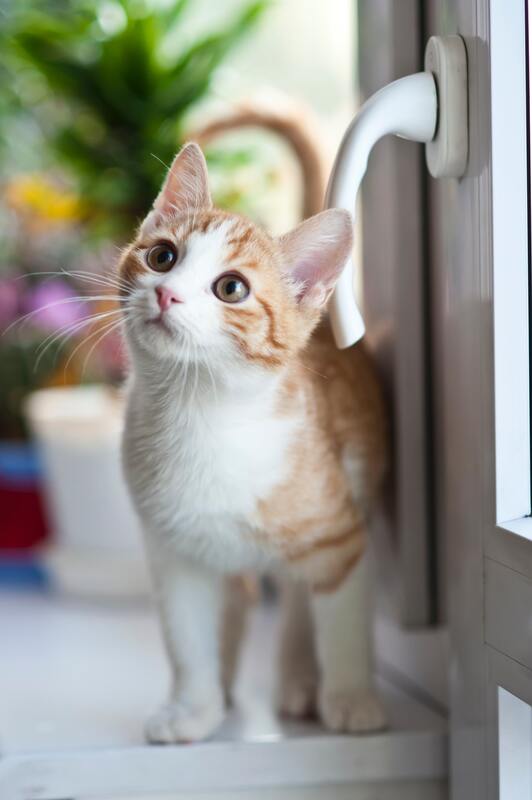 Friendship pet hospital and shop wellness center