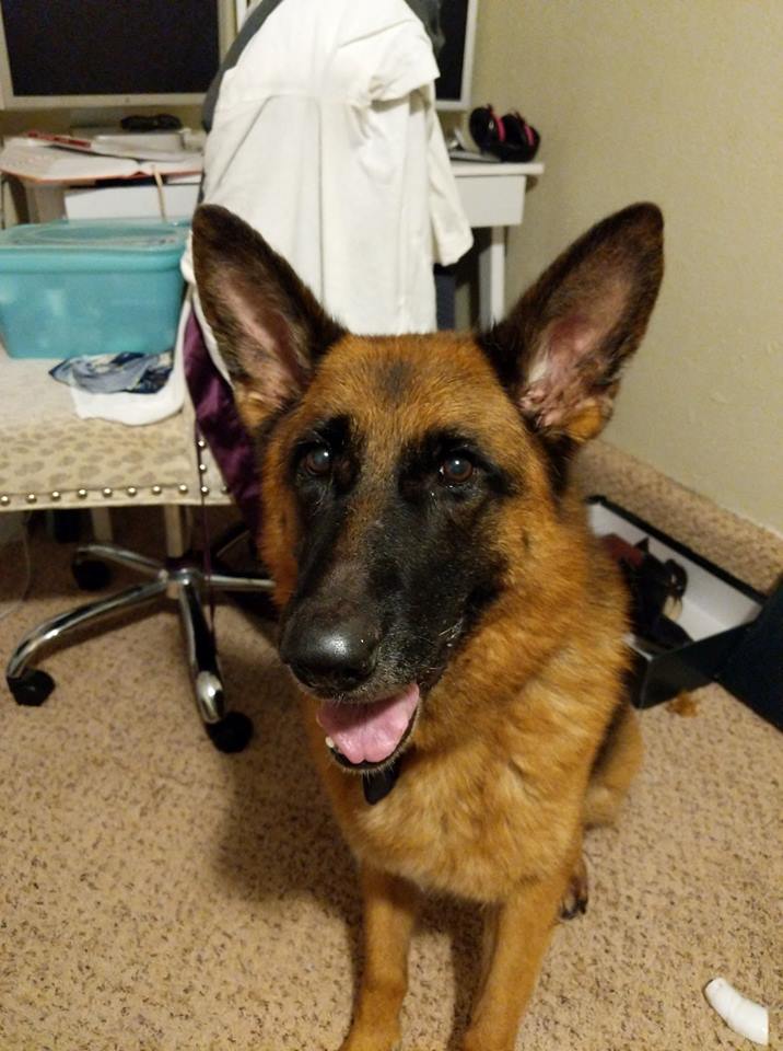 Find Pet Care Information and Veterinarians in Trophy-club, Texas Find Pet Care Information and Veterinarians in Trophy-club, Texas