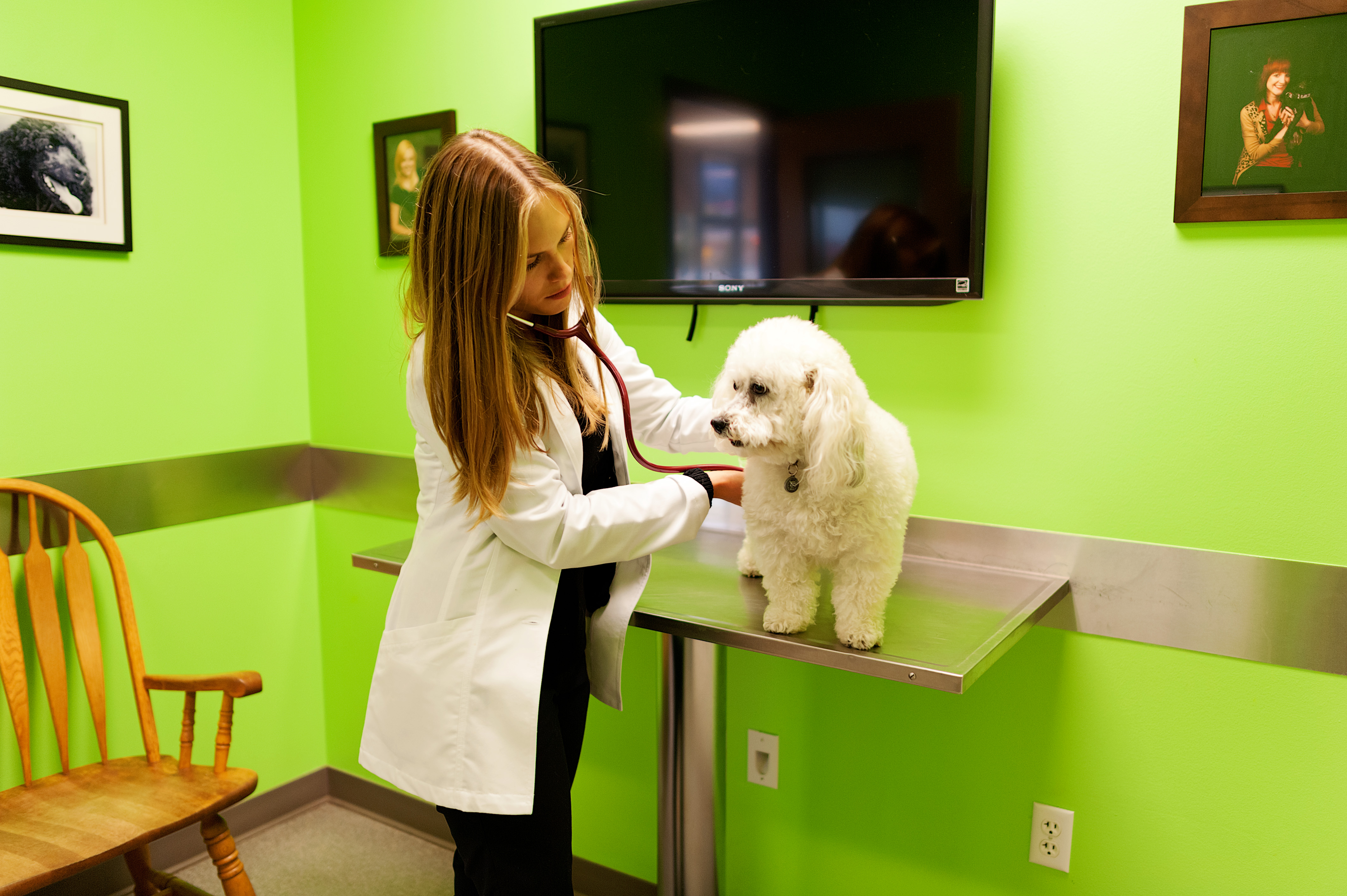 Animal Care Center - Airport – Salt Lake City, UT Animal Care Center - Airport – Salt Lake City, UT