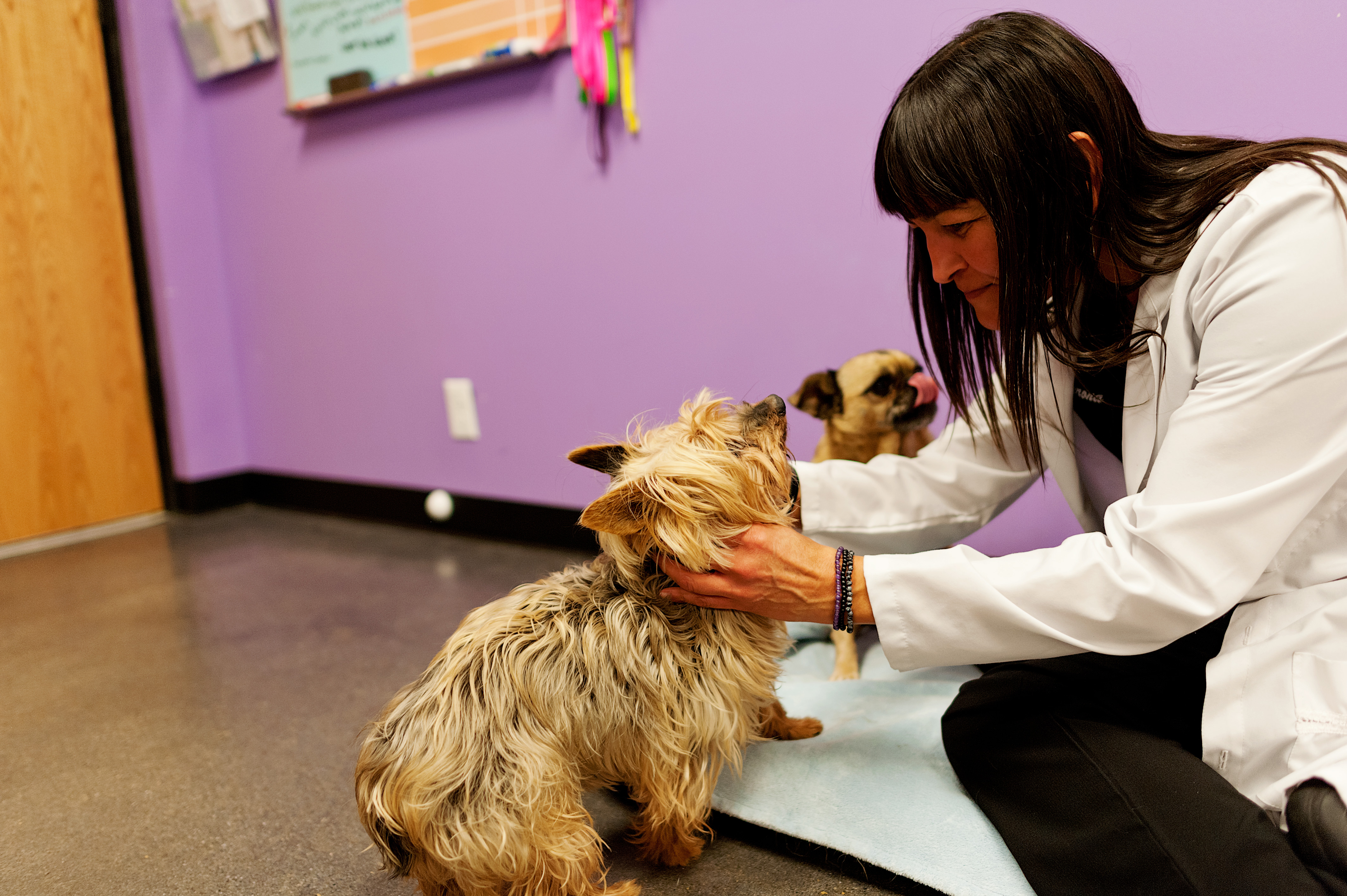 Animal Care Center - Airport – Salt Lake City, UT Animal Care Center - Airport – Salt Lake City, UT