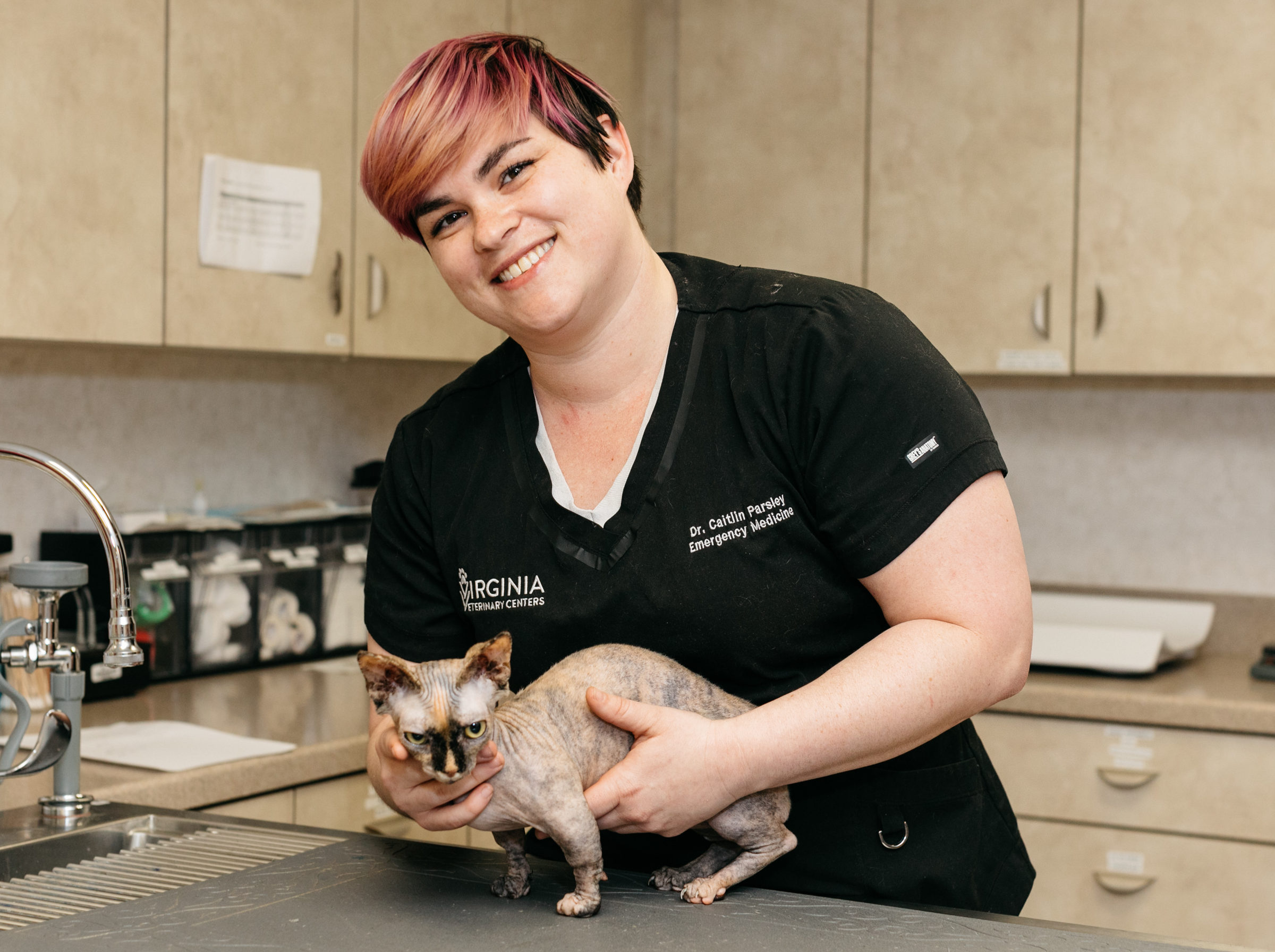 Find Pet Care Information and Veterinarians in Otterdale, Virginia