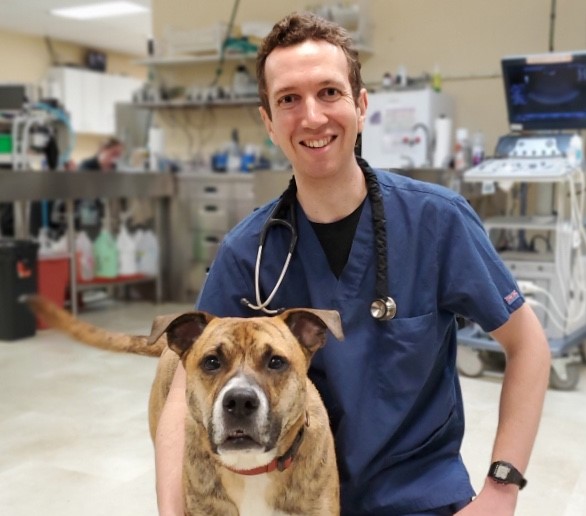 Find Pet Care Information and Veterinarians in Otterdale, Virginia Find Pet Care Information and Veterinarians in Otterdale, Virginia