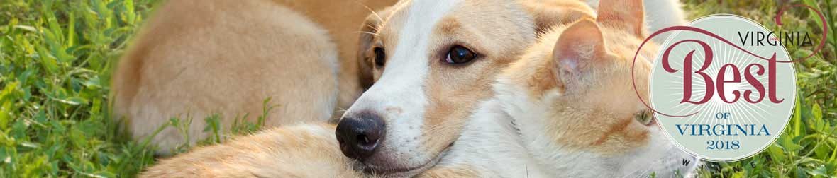 Find Pet Care Information and Veterinarians in Warrenton, Virginia Find Pet Care Information and Veterinarians in Warrenton, Virginia
