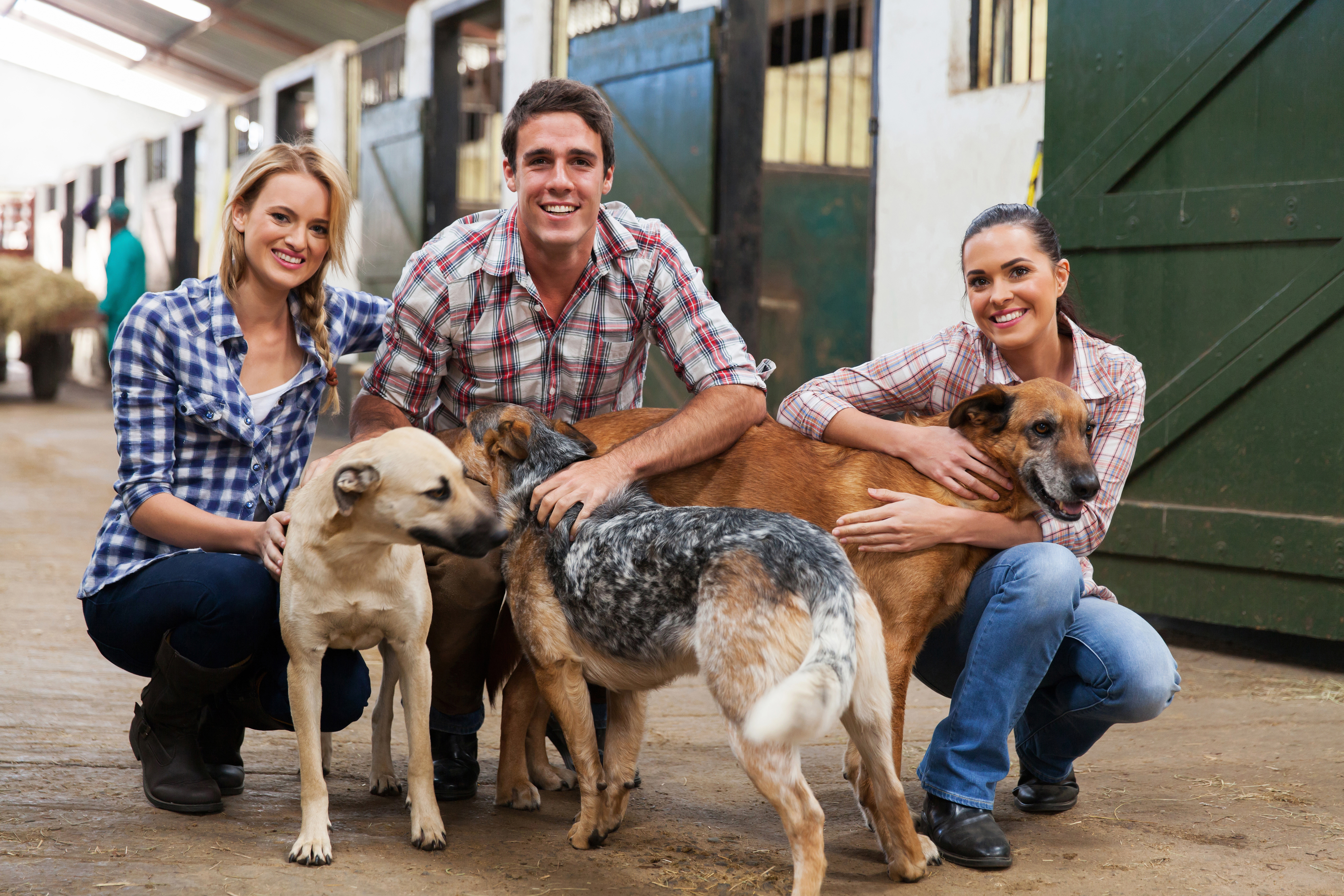 Find Pet Care Information and Veterinarians in Spanaway, Washington Find Pet Care Information and Veterinarians in Spanaway, Washington
