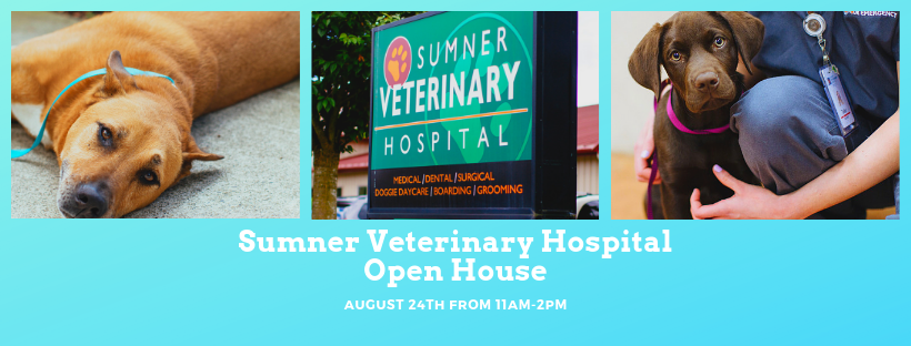 Sumner Veterinary Hospital – Sumner, WA