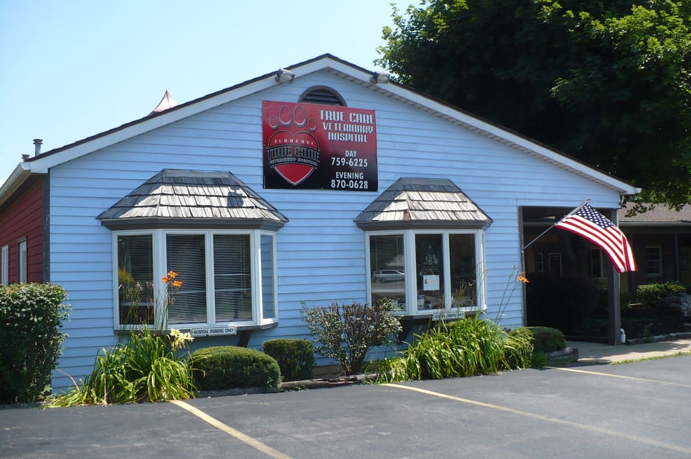 True Care Veterinary Hospital, Clarence Clarence, NY