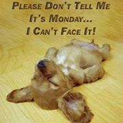 North Florida Animal Hospital – Tallahassee, FL North Florida Animal Hospital – Tallahassee, FL