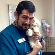Wellswood Midtown Animal Hospital – , Wellswood Midtown Animal Hospital – ,