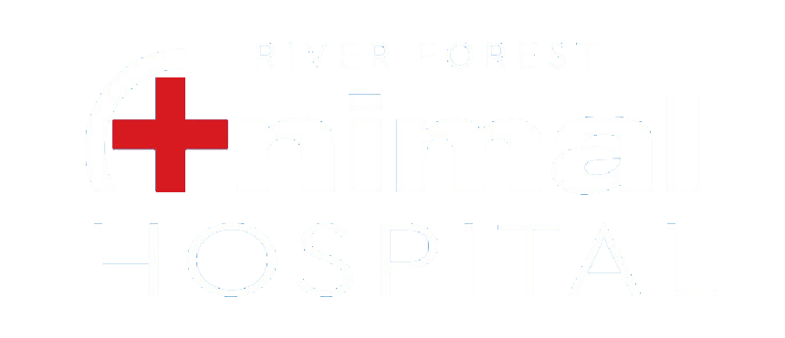 River Forest Animal Hospital – River Forest, IL