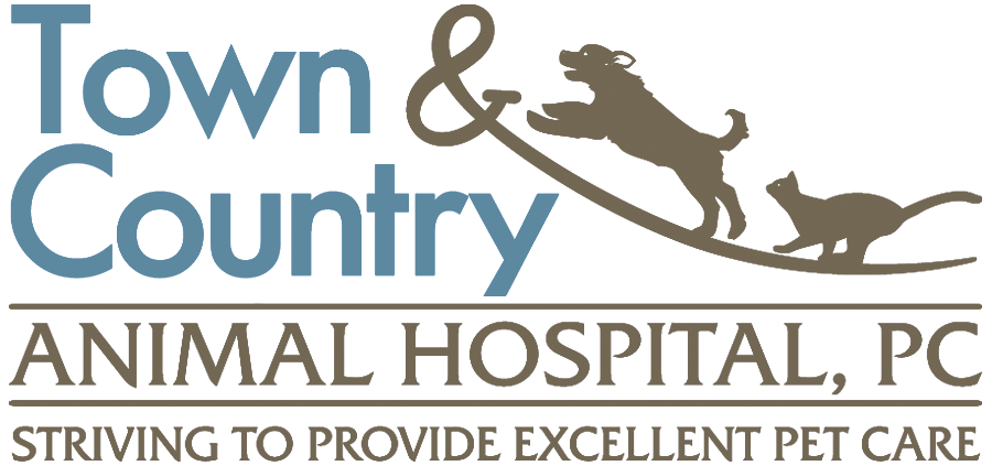 Town & Country Animal Hospital – Athens, AL