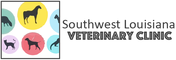 Southwest sales veterinary clinic