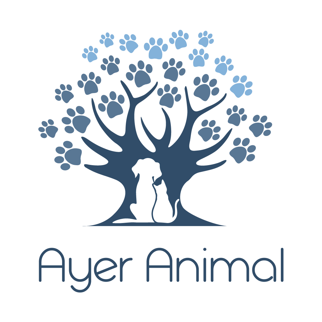 Ayer Animal Medical Center – Ayer, MA